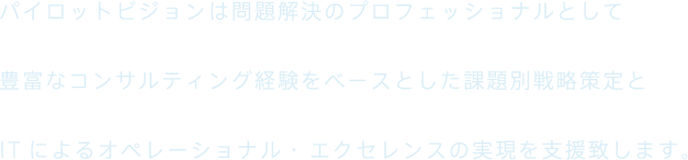 パイロットビジョンは問題解決のプロフェッショナルとして 豊富なコンサルティング経験をベースとした課題別戦略策定と ITによるオペレーショナル・ エクセレンスの実現を支援致します。